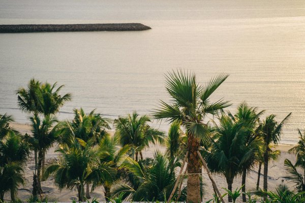 Quels sont les conseils pour une randonnée dans les montagnes de Pamir, Tadjikistan?