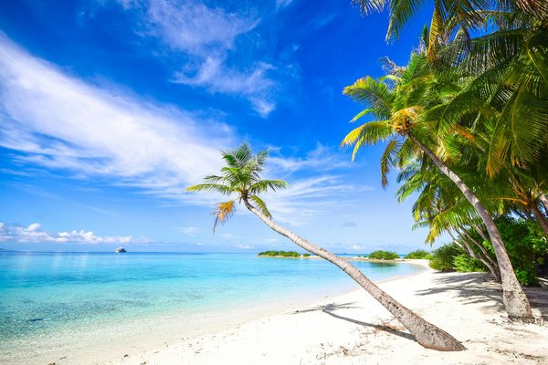 Quels sont les meilleurs itinéraires pour une randonnée dans les montagnes de l'Atlas en Tunisie?